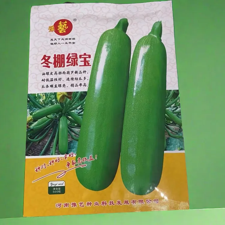 豫艺冬棚绿宝西葫芦种子 高产抗病 耐低温 温室越冬早春大棚专用