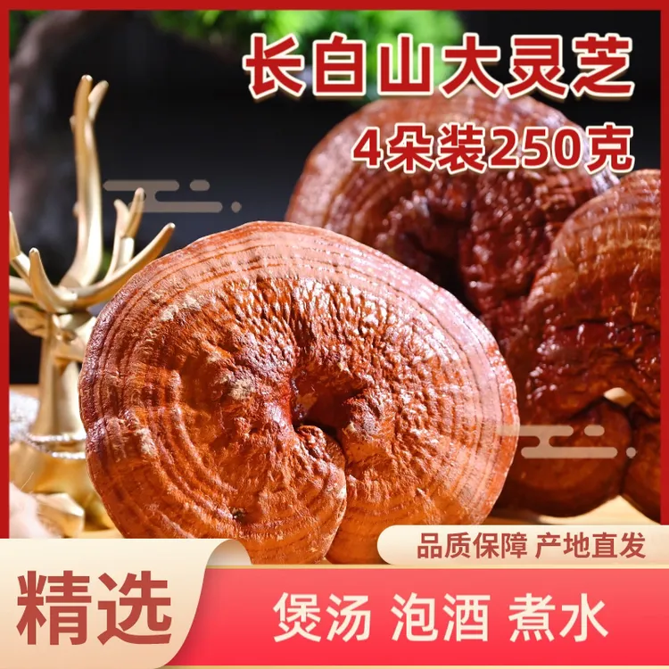 长白山大号赤灵芝250克（4朵）/袋泡酒免洗红灵芝干货东北吉林特产