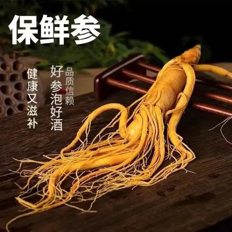 【2根装】长白山保鲜人参单根50克泡酒免洗鲜人参滋补品质