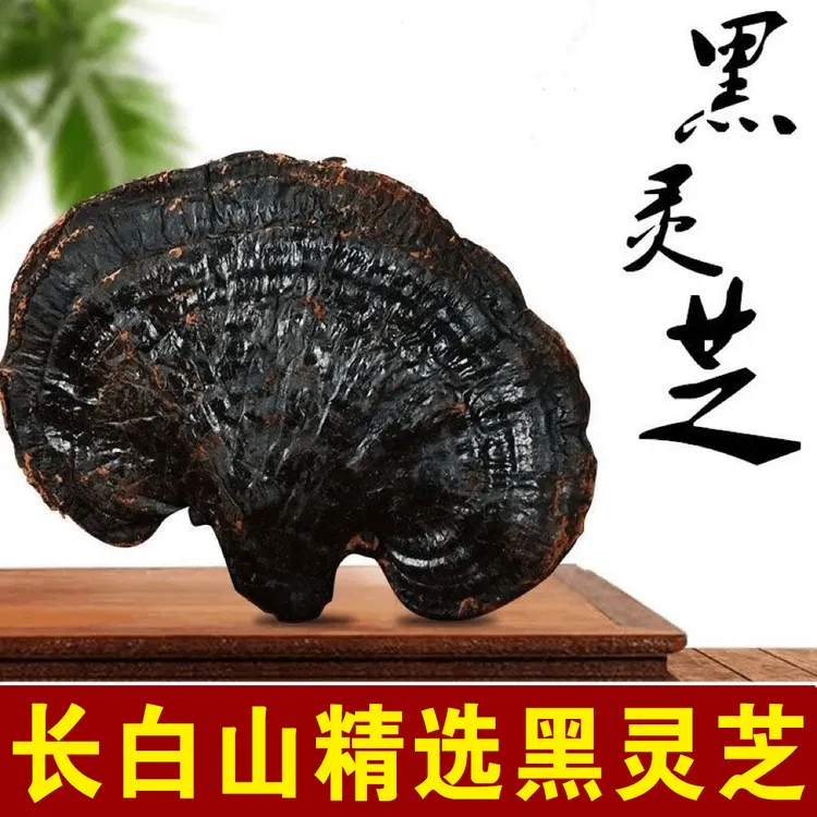 长白山正品黑灵芝85克3朵整枝野山紫灵芝煲汤泡茶泡酒专用药材男