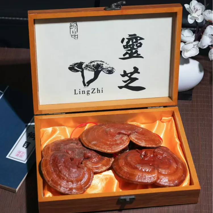 长白山红灵芝礼盒3朵/盒送礼推荐东北特产赤灵芝吉林发货送人自用