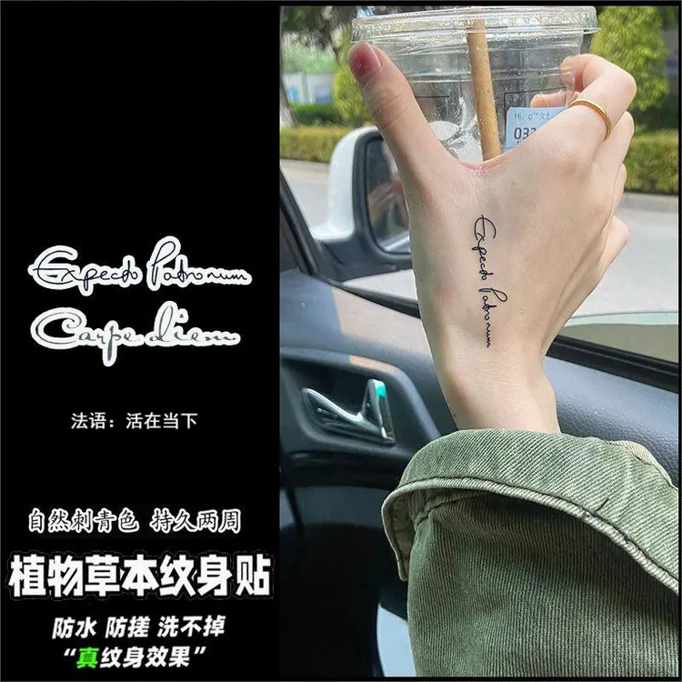 法语句子活在当下 草本果汁纹身贴防水持久字母纹身贴纸逼真果汁