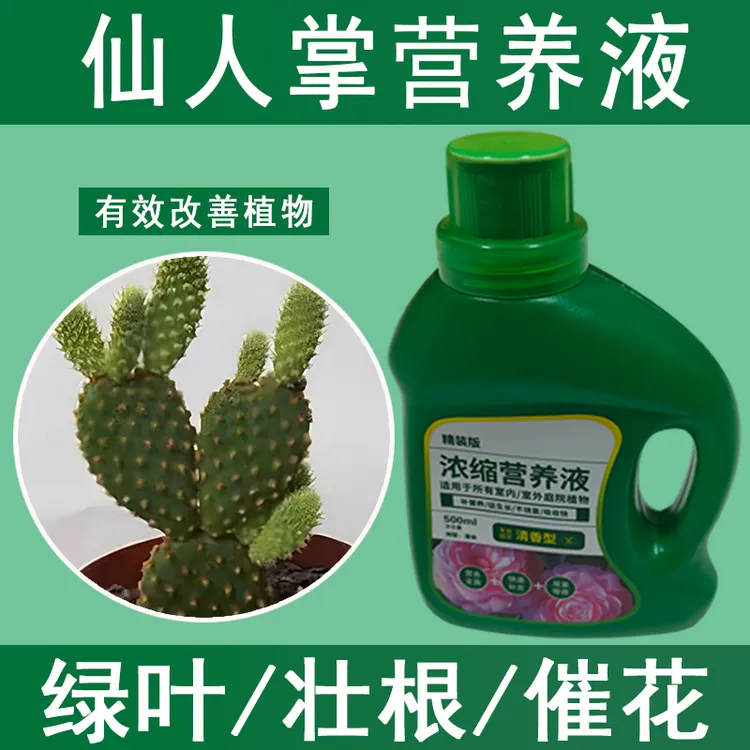 仙人掌营养液通用型仙人掌专用营养液花肥绿植水培植物肥料治黄叶