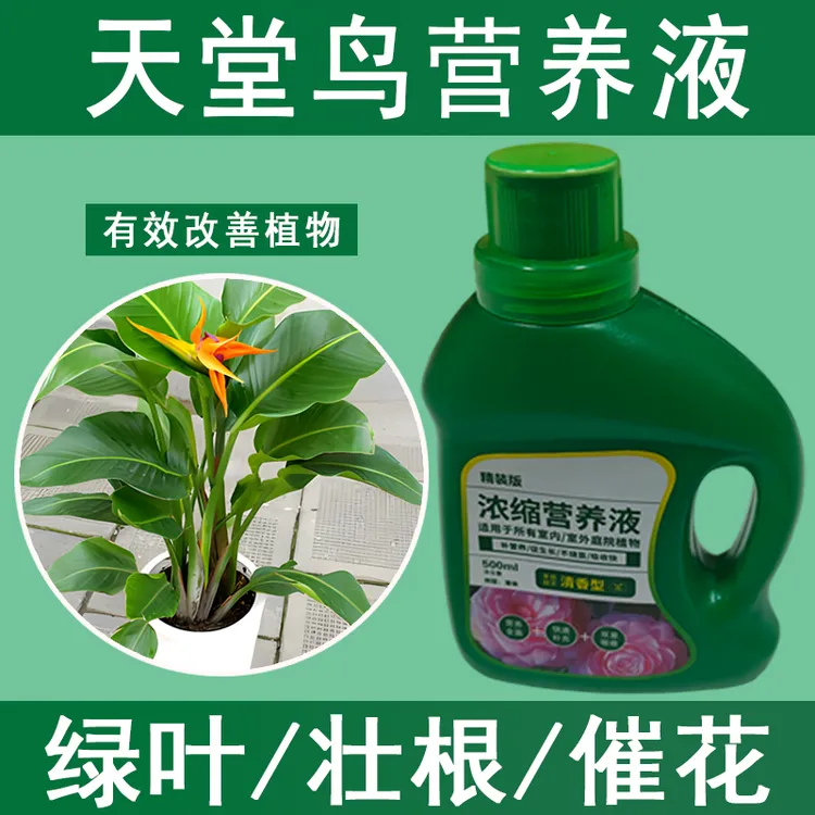 天堂鸟营养液通用型天堂鸟专用营养液花肥绿植水培植物烂根治黄叶