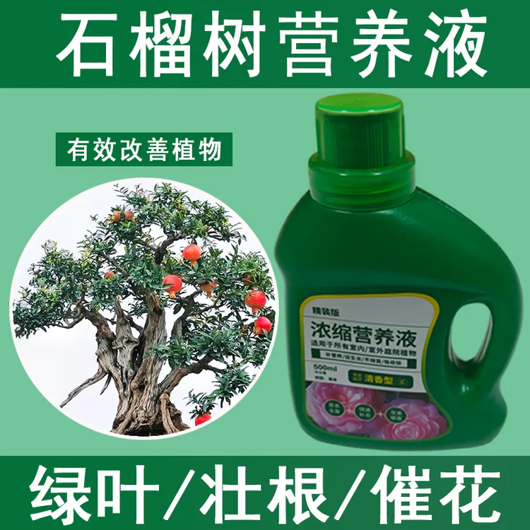 石榴树营养液通用型石榴树专用营养液花肥绿植水培植物肥料治黄叶