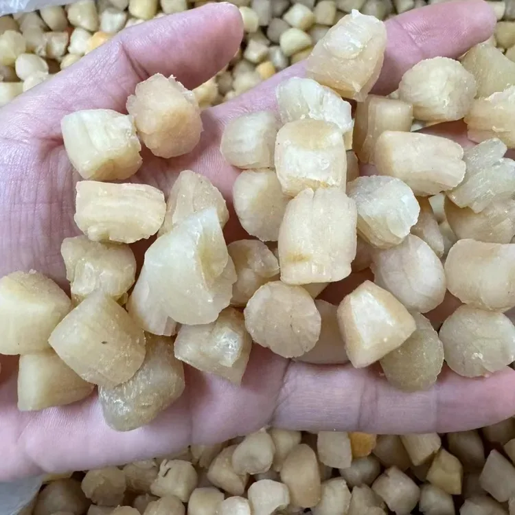 【南国味集】足干足淡干贝瑶柱海鲜干货煲汤煲粥佳品