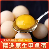 甲鱼蛋新鲜的出品精选生态营养甲鱼蛋120枚
