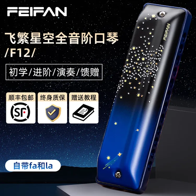 FEIFAN/飞繁12孔布鲁斯口琴全音阶初学者入门练习成人专业演奏琴