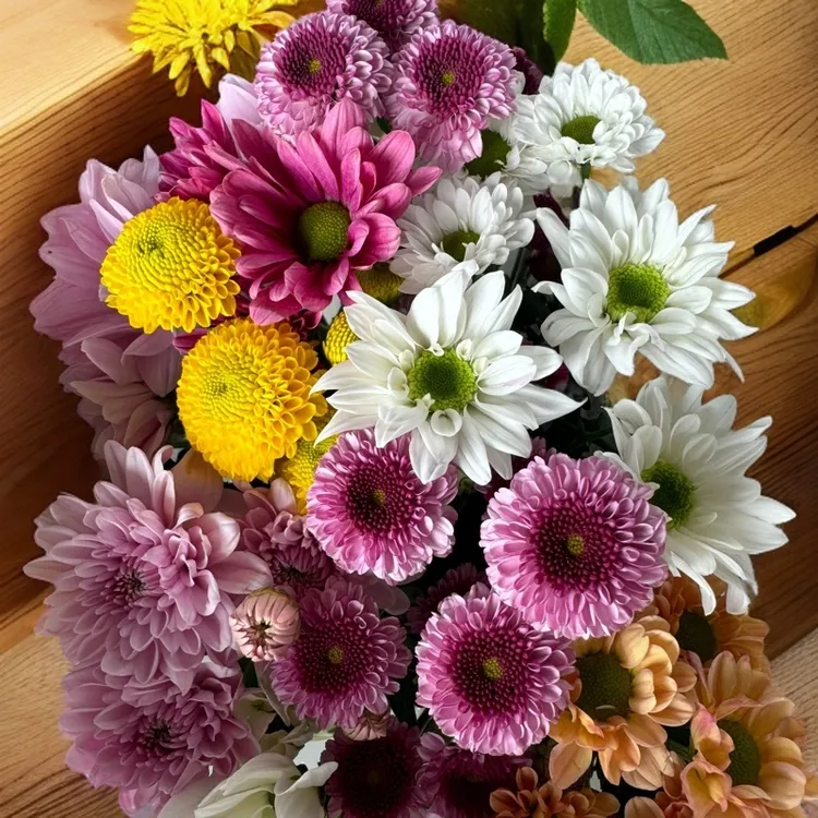 【诺东云.菊类】A级小雏菊烟花菊乒乓菊顺丰冷链/偏远地区顺丰空运