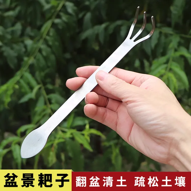 不锈钢两用镊子耙子盆景撬土压土刀盆栽多肉植物松柏摘芽