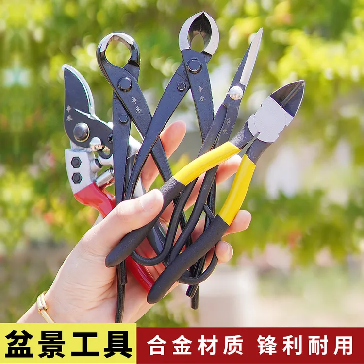 辛禾盆景球节剪盆景修枝剪斜口剪球形剪破杆园艺专用造型制作工具