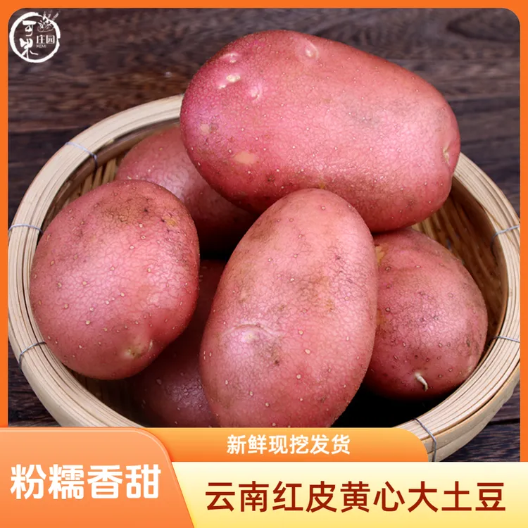 可米庄园云南新鲜红皮黄心大土豆粉糯农家自种蔬菜马铃薯洋芋包邮
