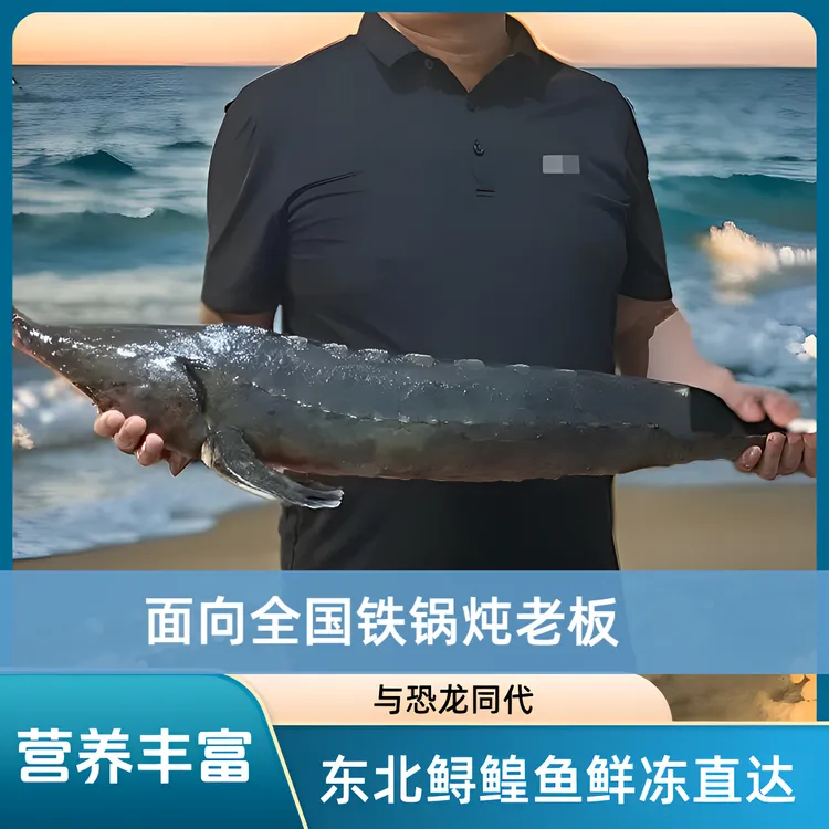 黑龙江特产东北鲟鳇鱼
