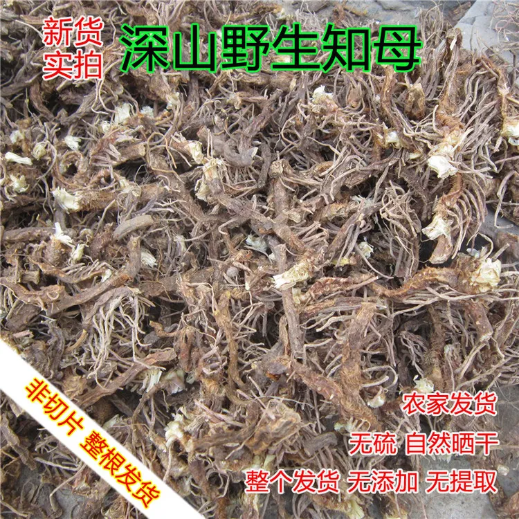 野生知母 整根晒干500g 河南太行山整个根茎 带须根非切片