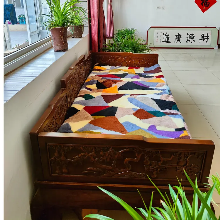 七彩褥子皮毛一体地毯地毯家用床边毯加厚卧室褥子羊羔毛耐脏吸水