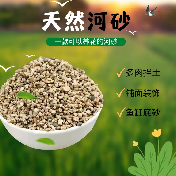 粗细河沙种植养花用拌土天然黄沙铺面中石子乌龟冬眠孵蛋鱼缸底砂