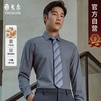 Youngor/雅戈尔春秋款男士简约商务通勤经典可机洗绵羊毛混纺衬衫