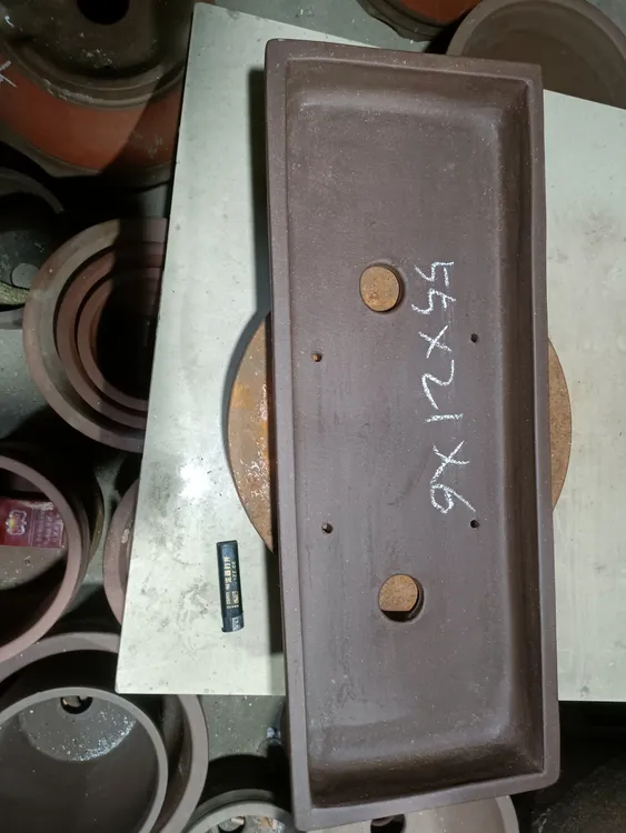 多肉花盆紫砂有无孔菖蒲文竹拇指盆大小号防烂根菖蒲文竹拇指盆大