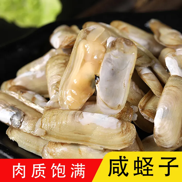 温州特产蛏腌货咸蛏子醉蛏海鲜腌制贝类开罐即食下饭佳肴蛏子好吃