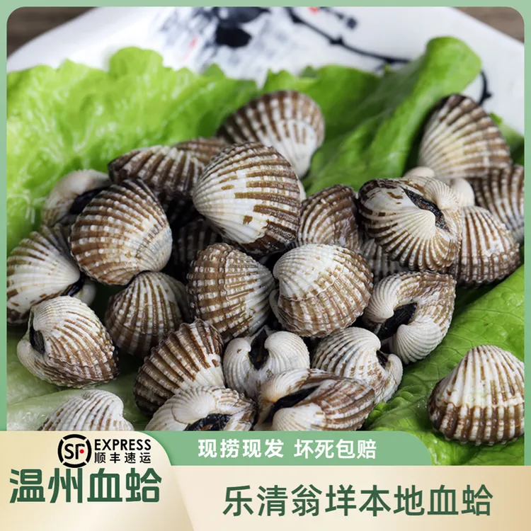 温州乐清翁垟血蛤新活花蛤带泥发货海产品现捞美味
