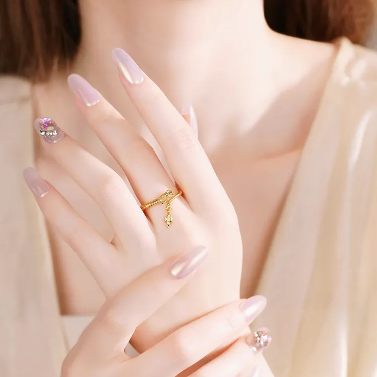 JIN BAI ZHENG 铜合金戒指 轻奢国风不掉色可调节戒指本命年指环