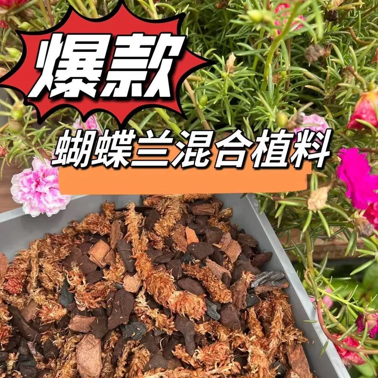 新疆包邮蝴蝶兰花卉专用土智利毛毛虫水苔新西兰松树皮混合型植料