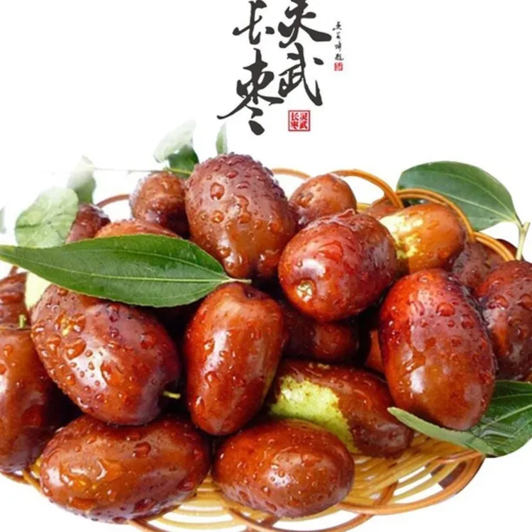 【顺丰包邮】宁夏灵武长枣老树采摘脆甜可口沙漠鲜枣枣子新鲜