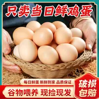 散养土鸡蛋40枚新鲜土鸡蛋单枚40克柴鸡蛋主补