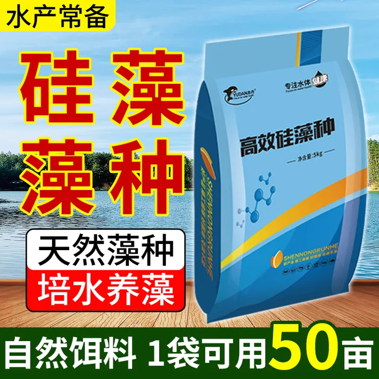  渔丹高效硅藻种鱼虾蟹塘高效肥水培藻培虫水产养殖有效厂家直销
