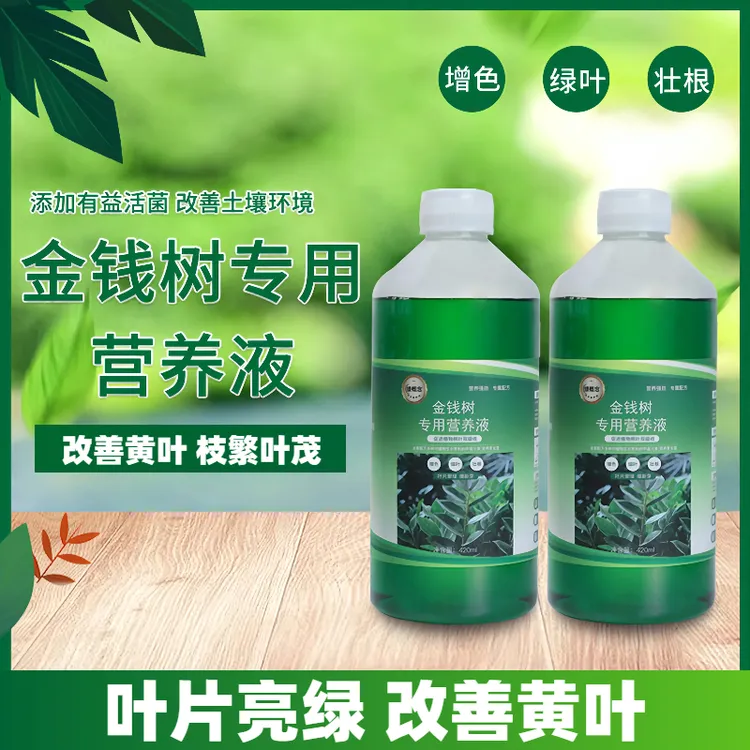 【丛卉】金钱树肥料绿植花卉营养液金钱树专用肥营养液根状叶绿素