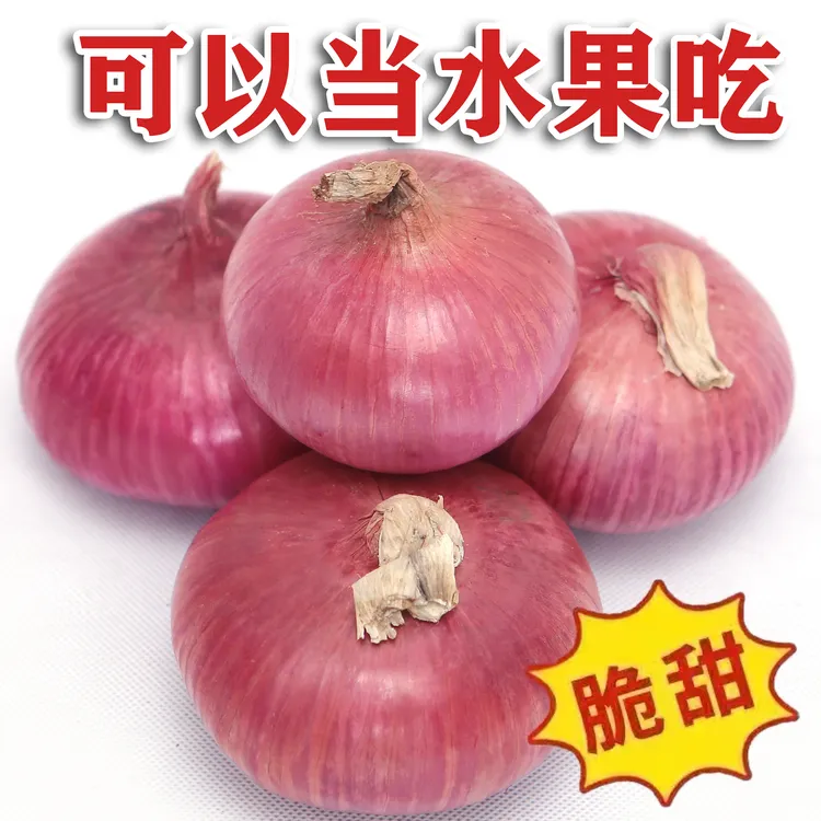 山东现挖新鲜水果洋葱微甜微辣食用生吃专用的农产品 净重5斤装