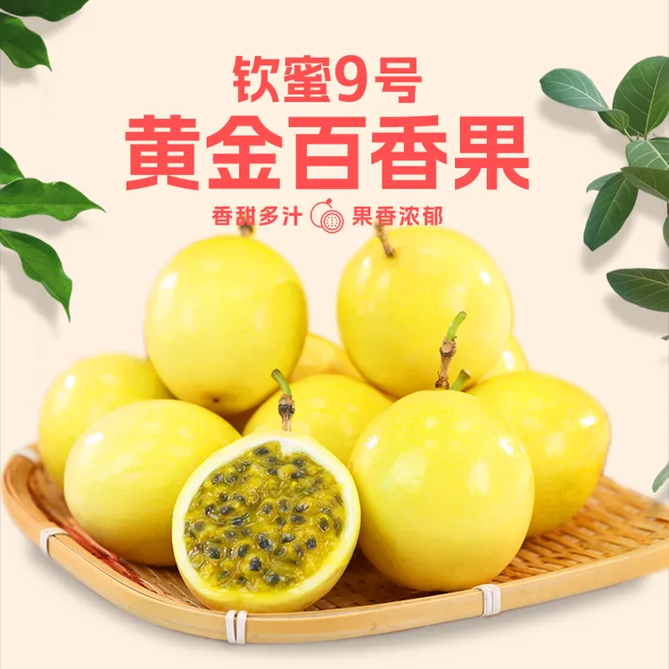 【15个果!】钦蜜9号黄金百香果50g-60g  坏果包赔赠开果器！