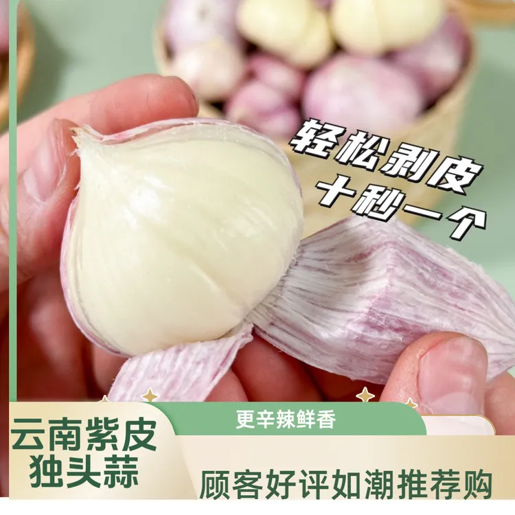 正宗云南大理紫皮蒜 新鲜大蒜独头紫皮蒜 紫皮独头蒜新鲜现挖包邮