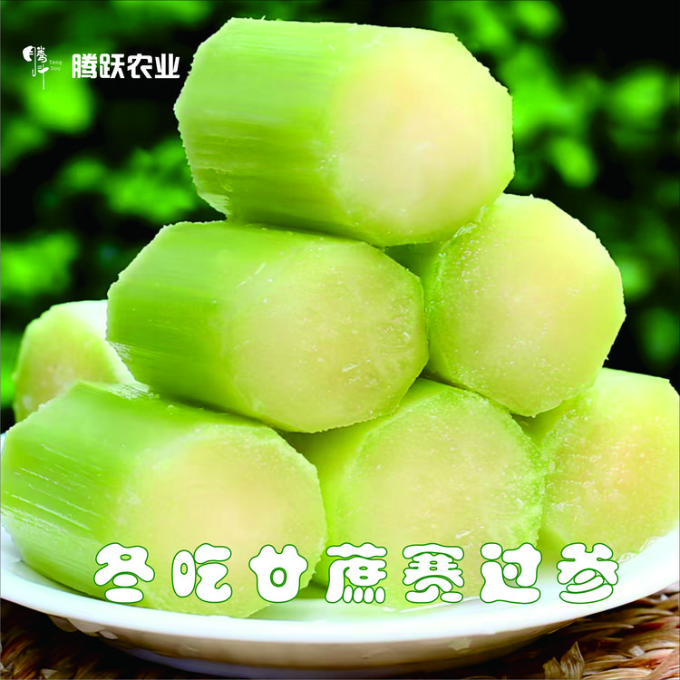 瑞安陶山特产青皮手撕甘蔗果肉装3斤5斤松脆清甜当季水果新上市