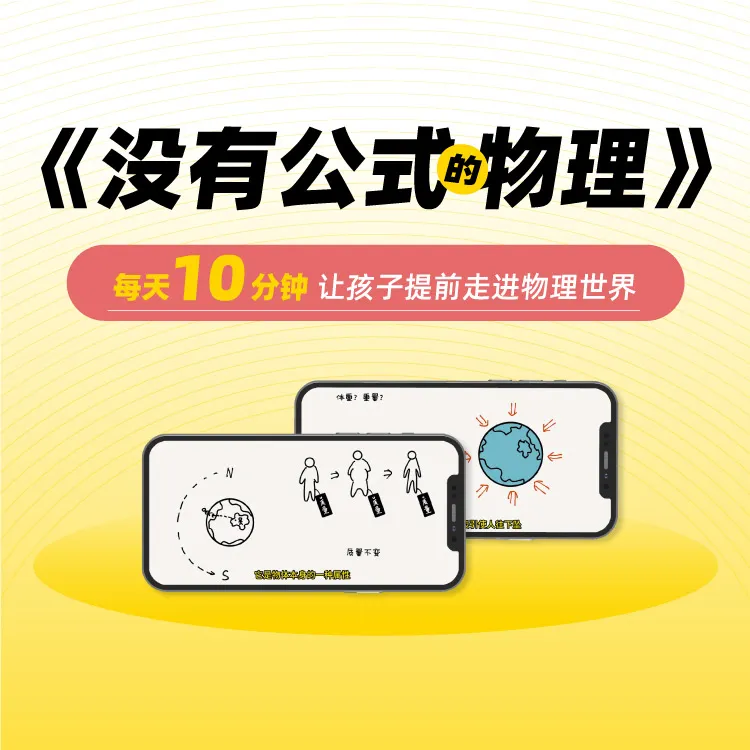 没有公式的物理素养课  赠答案之书