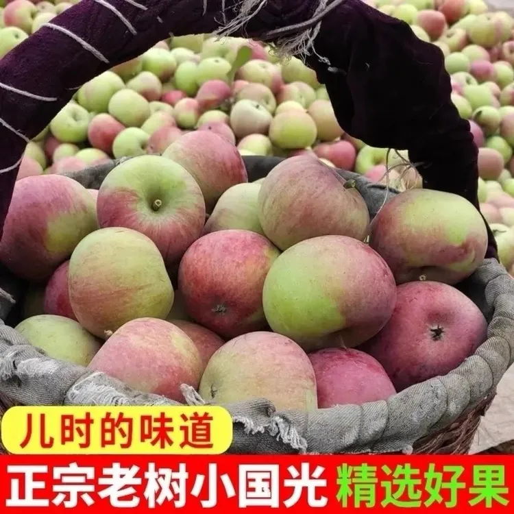 东北小国光苹果5斤顺丰包邮新鲜水果正宗老品种小果光酸甜口感