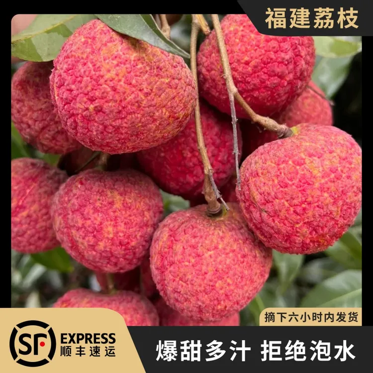 【顺丰冷链】新鲜采摘福建黑叶乌叶荔枝非白糖罂现摘1-5斤顺丰包邮