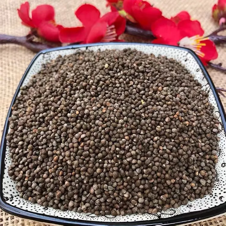 贵州高山种植油性酥麻