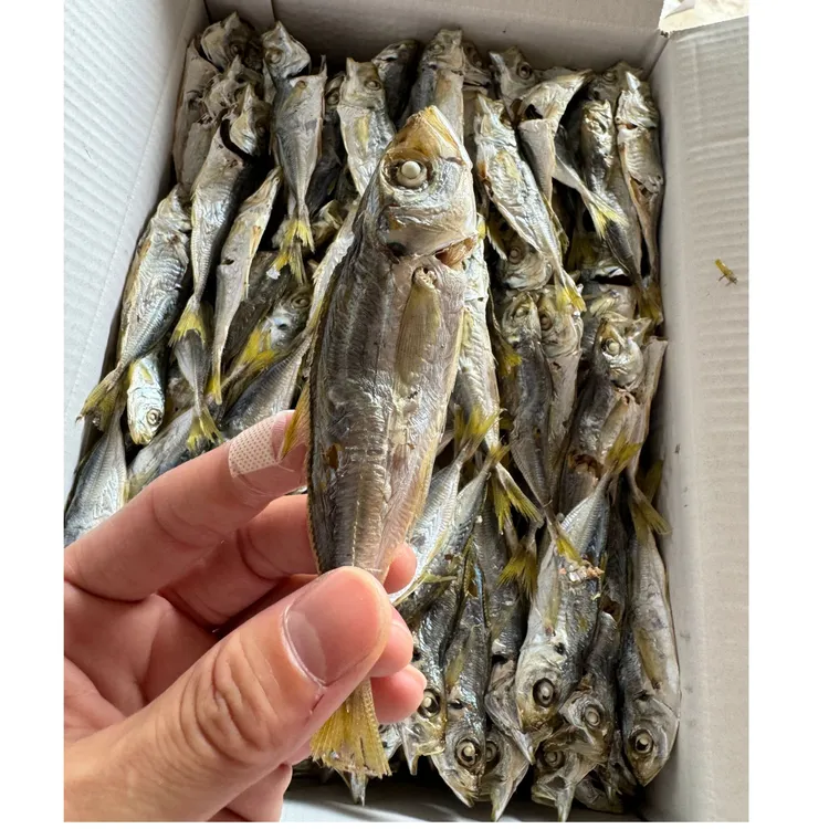 汕尾特产 淡晒巴浪鱼干 带头 本港黄尾巴浪鱼干
