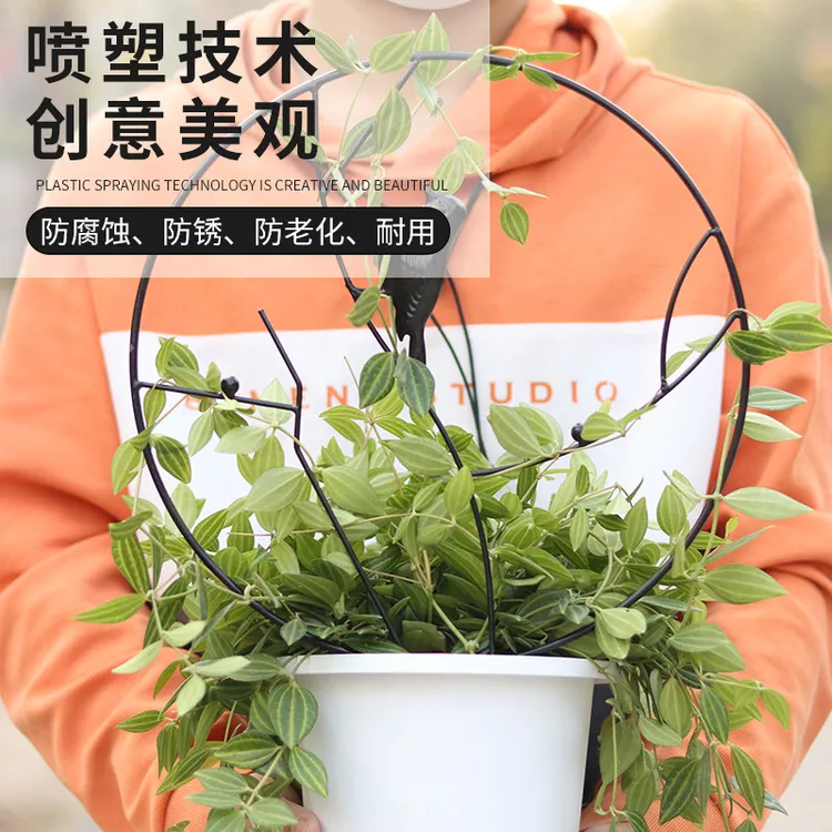 园艺铁艺造型花架盆栽雪莹山乌龟甲龙爬藤花架小铁线莲植物爬藤架