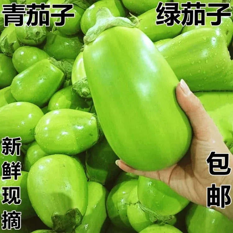 特产河南大绿茄子农家种新鲜现摘绿皮茄子生吃青茄蔬菜茄子3-9斤