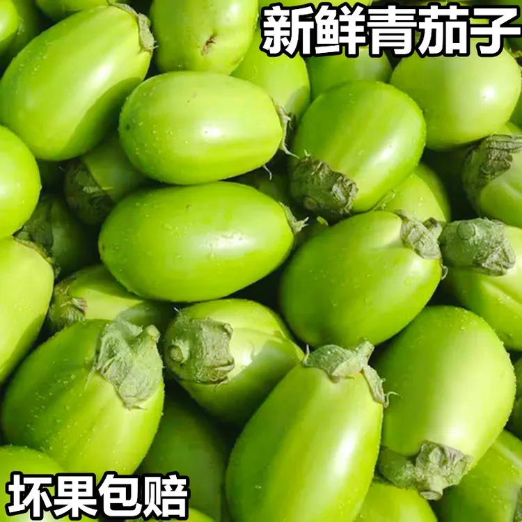 绿皮茄子河南特产青茄子绿茄子新鲜蔬菜净重1-5斤现摘现发农家菜