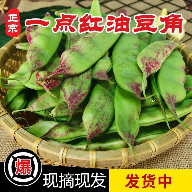 东北一点红油豆角开锅烂农家现摘现发3斤5斤包邮