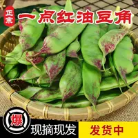 东北一点红油豆角开锅烂农家现摘现发3斤5斤包邮
