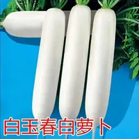 【满6包包邮】【108】白玉春萝卜种子