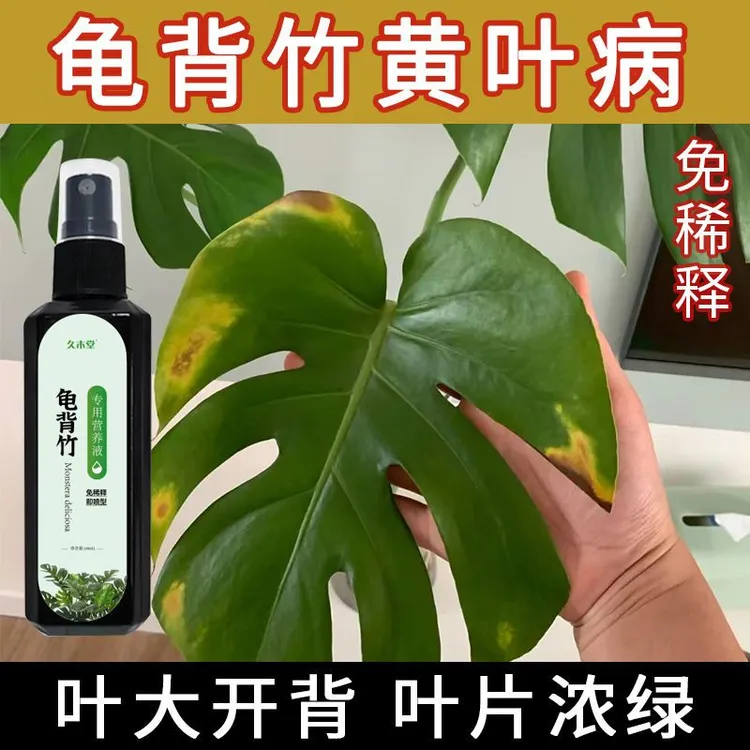 龟背竹营养液专用花肥改善发黄枯萎黑斑发蔫免稀释喷施配方均衡