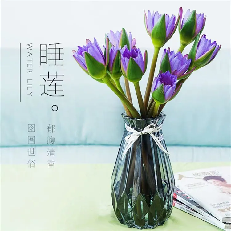 紫色睡莲鲜花广州基地直发家庭室内水养花卉莲花花束