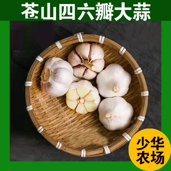 干蒜苍山四六瓣【4-6瓣左右】新鲜1斤/3斤/5斤装蒜香味浓辣