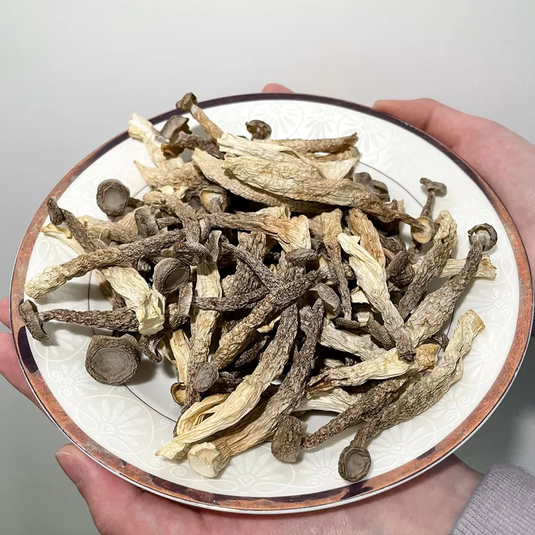 陈陈家菌菇特产鹿茸菇半开伞脆脆菇煲汤爆炒鲜嫩250g/菌类干货