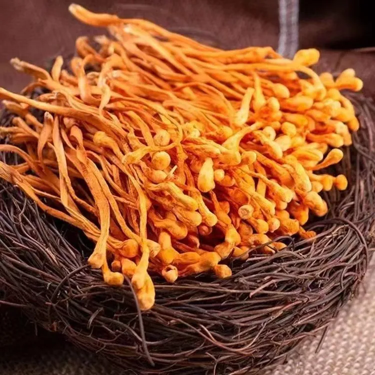 陈陈精选新货高山虫草花干货煲汤蒸煮凉拌250g/500g初级农产品